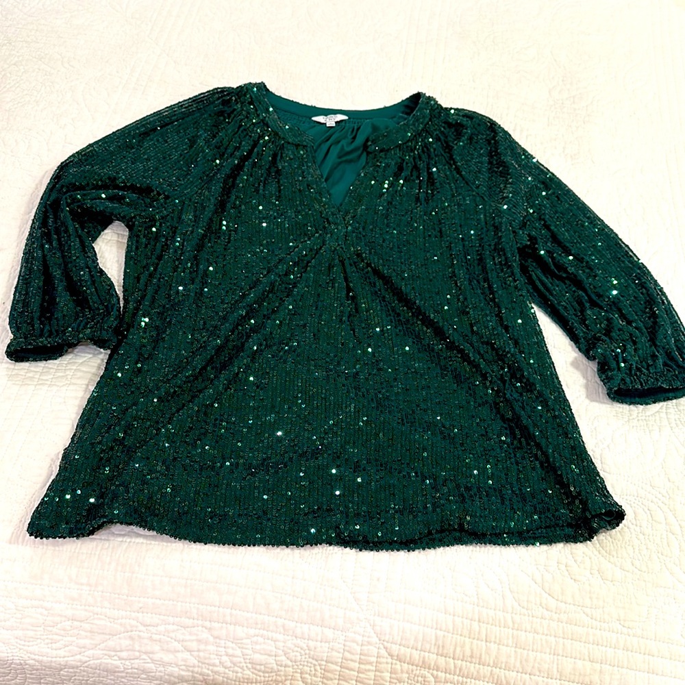 Sequin Forest Green 3/5 sleeve top